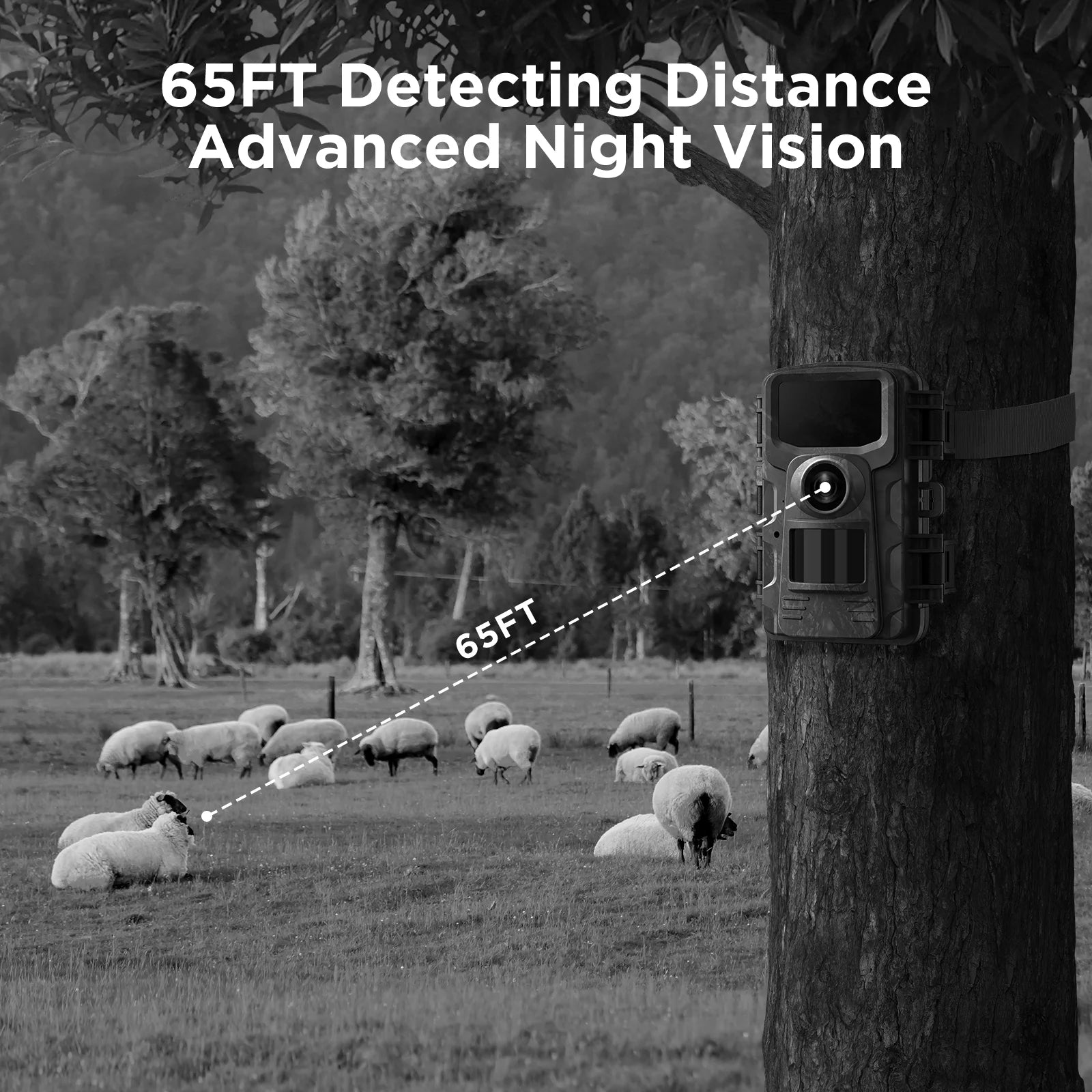 2K 36MP Trail Camera with Infrared Night Vision and Wide Angle Lens - Waterproof, Motion Activated Wildlife Scouting Camera