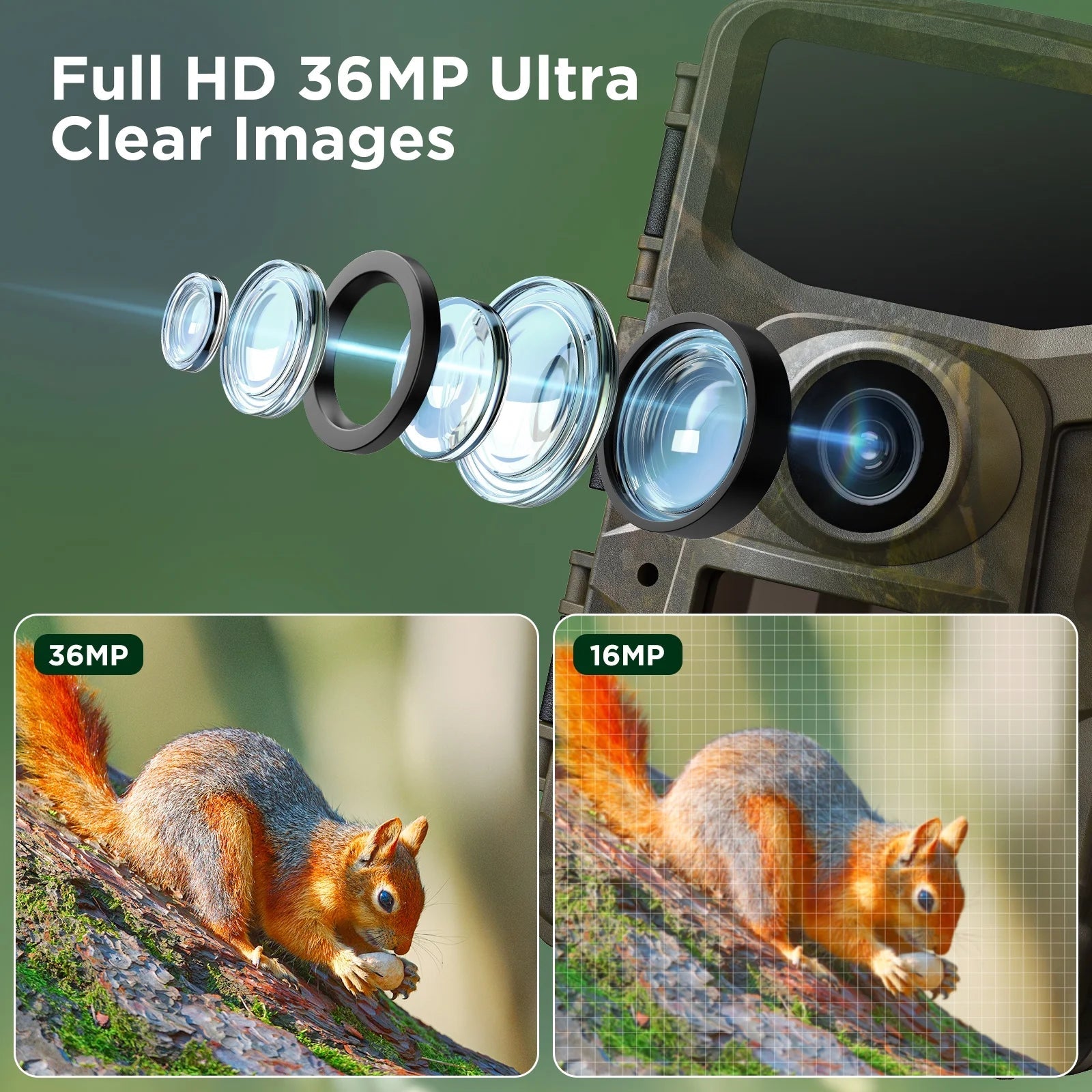 2K 36MP Trail Camera with Infrared Night Vision and Wide Angle Lens - Waterproof, Motion Activated Wildlife Scouting Camera
